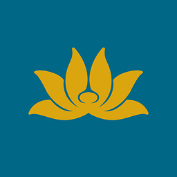 Airline logo